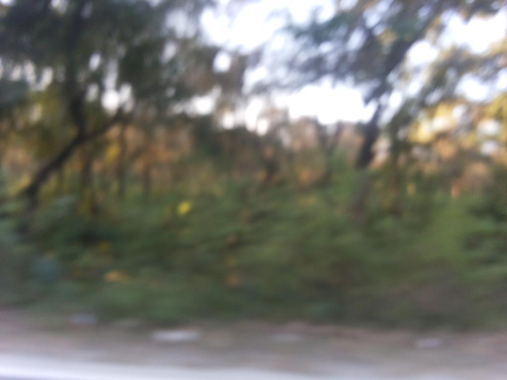 迪奥拉悬崖生态度假村 噶伦堡 外观 照片